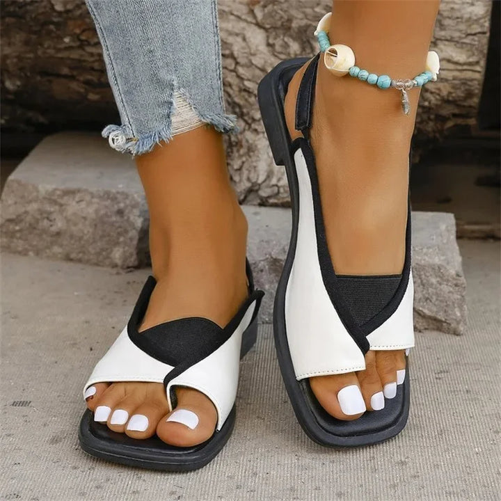 Sole Nova Slides