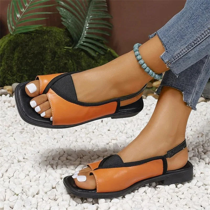 Sole Nova Slides