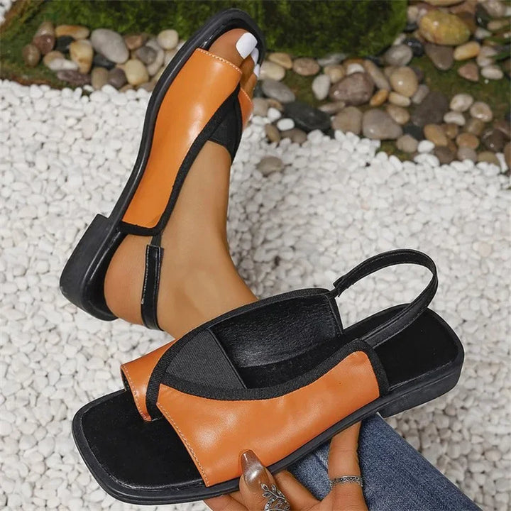 Sole Nova Slides