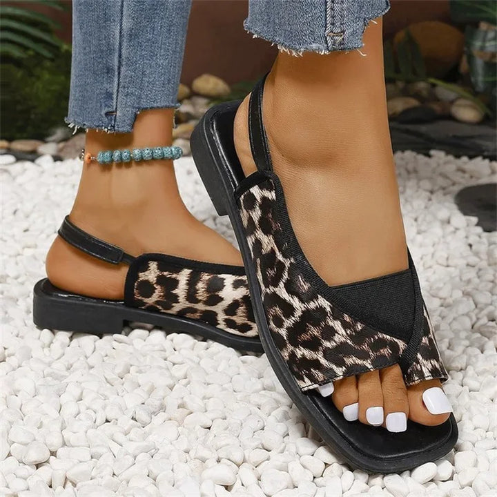 Sole Nova Slides